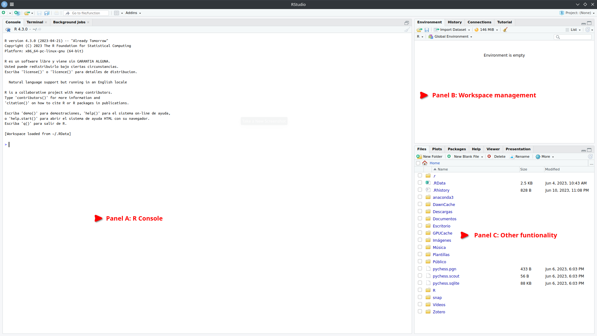 Interfaz de RStudio: Una poderosa herramienta para el desarrollo en R